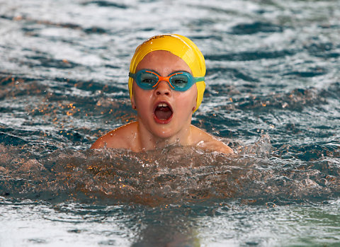 Tounnoi Natation 2012