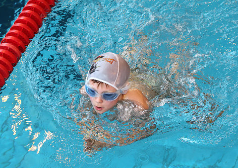 Tounnoi Natation 2012