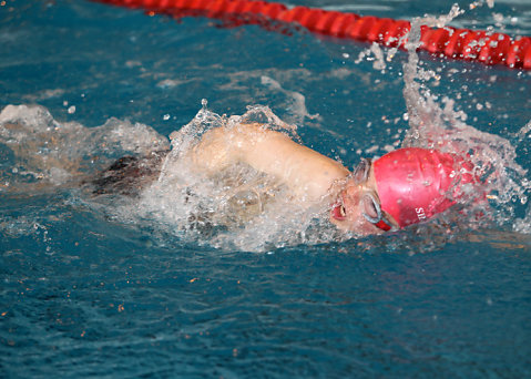 Tounnoi Natation 2012