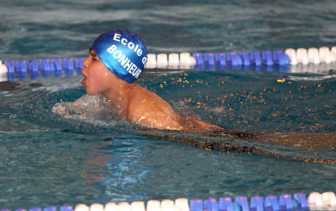Tounnoi Natation 2012