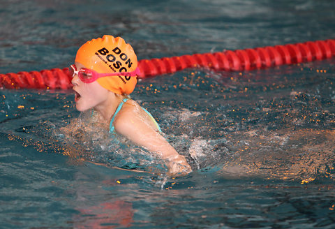 Tounnoi Natation 2012