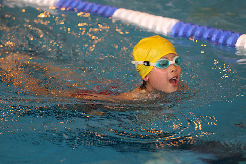 Tounnoi Natation 2012