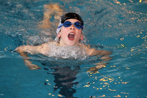 Tounnoi Natation 2012