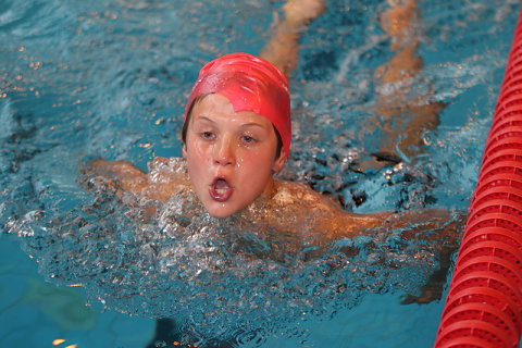 Tounnoi Natation 2012