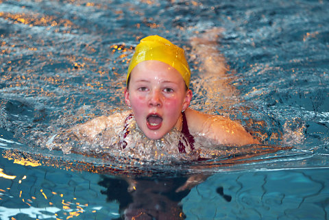 Tounnoi Natation 2012