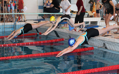Tounnoi Natation 2012