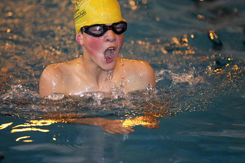 Tounnoi Natation 2012