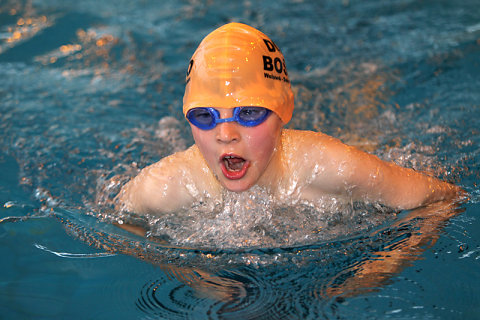 Tounnoi Natation 2012