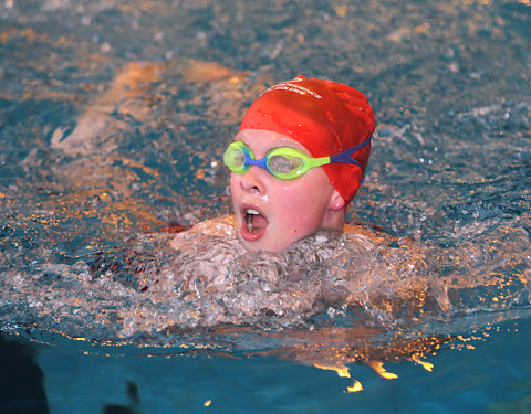 Tounnoi Natation 2012