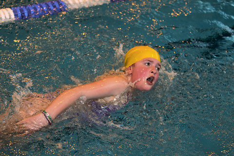 Tounnoi Natation 2012