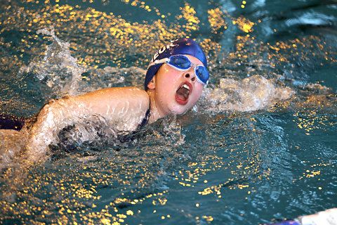 Tounnoi Natation 2012
