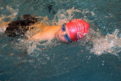 Tounnoi Natation 2012