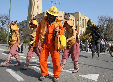 Cavalcade 2012
