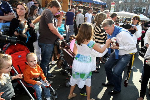 Cavalcade 2012