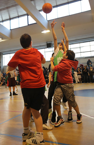 Tournoi Basket 2011