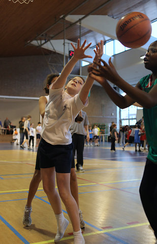 Tournoi Basket 2011