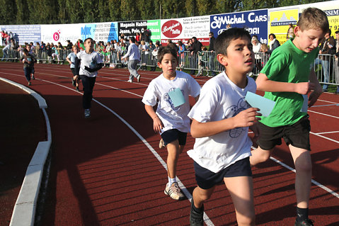 Minicross 2010