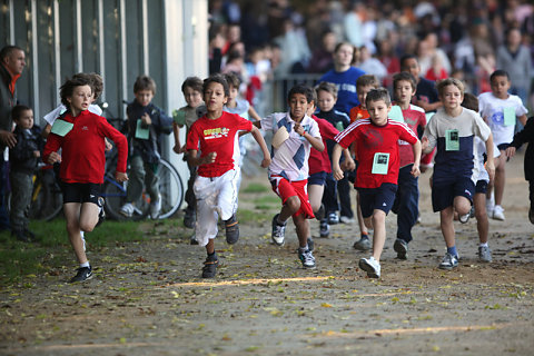 Minicross 2010