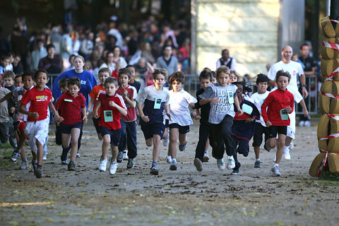 Minicross 2010