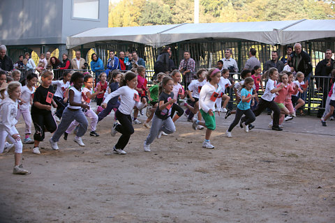 Minicross 2010