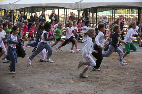 Minicross 2010