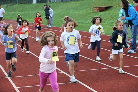 Minicross 2010