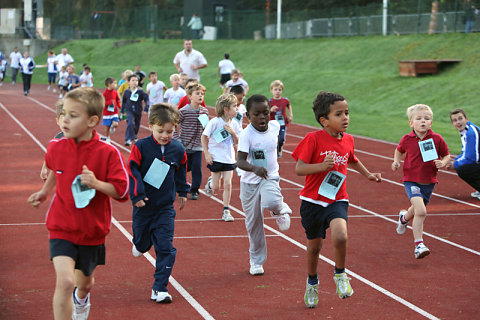 Minicross 2010