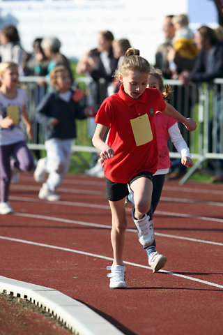 Minicross 2010