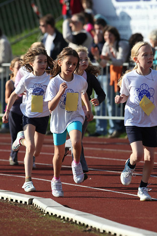 Minicross 2010