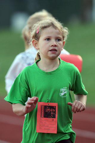 Minicross 2010