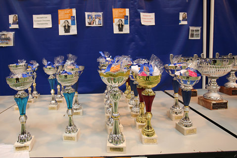 Badminton 2010