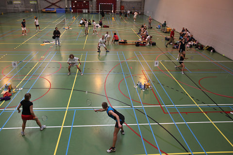 Badminton 2010