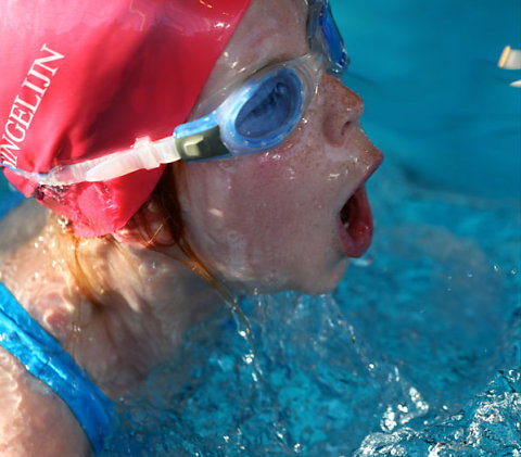 Tournoi de Natation 2010