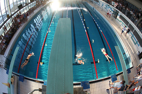 Tournoi de Natation 2010