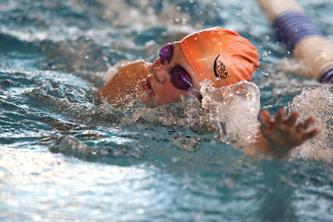 Tournoi de Natation 2010