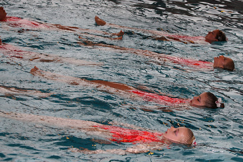 Natation Synchro 2010