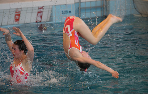 Natation Synchro 2010