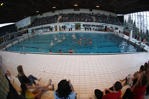 Natation Synchro 2010