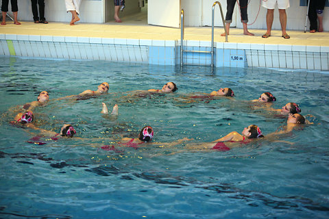 Natation Synchro 2010