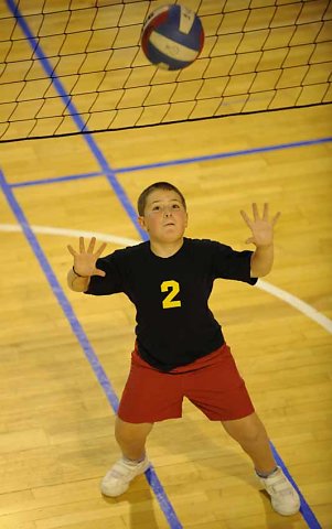 Ethias Volley 2008