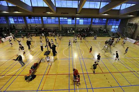 Ethias Volley 2008
