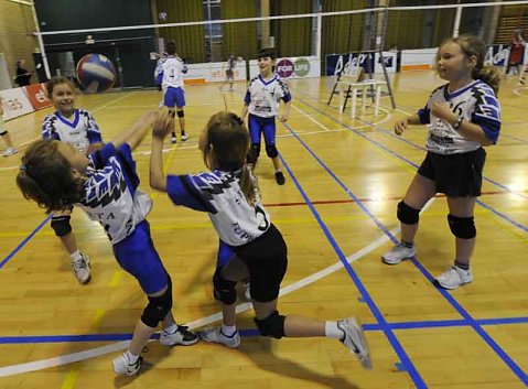 Ethias Volley 2008