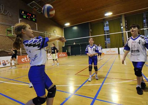 Ethias Volley 2008