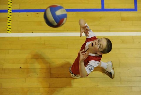 Ethias Volley 2008