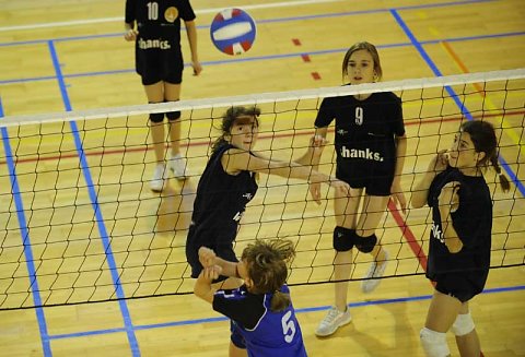 Ethias Volley 2008