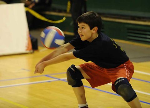 Ethias Volley 2008