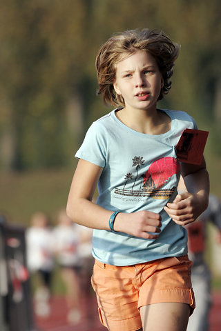 Minicross 2008