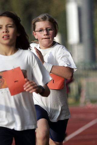 Minicross 2008