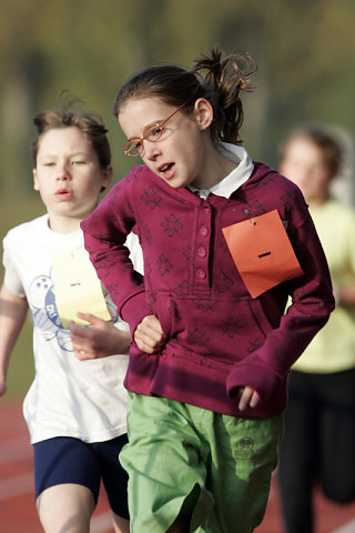 Minicross 2008