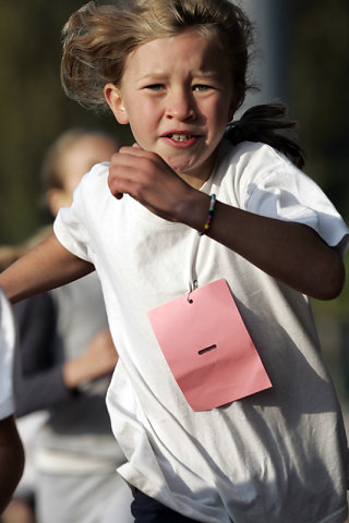 Minicross 2008